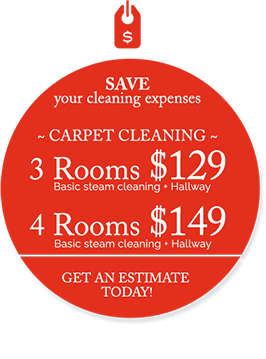 3 rooms - Basic steam cleaning + Hallway, Only $129 | 4 rooms - Basic steam cleaning + Hallway, Only $149